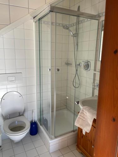 a bathroom with a shower with a toilet and a sink at Landhaus Töchterle in Telfes im Stubai
