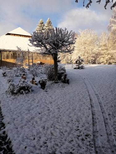 a snow covered yard with a tree and a building at Gîte de France C'est tout vert 4 épis - Gîte de France 5 personnes MAE-9824 in Condat-sur-Ganaveix