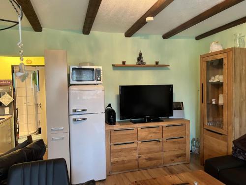 ein Wohnzimmer mit einem Kühlschrank und einem TV in der Unterkunft Feriendorf am Hohen Bogen - Haus 66 in Arrach
