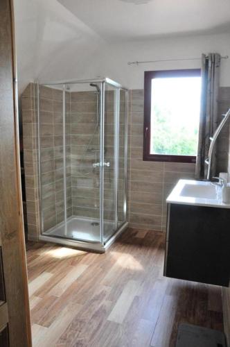 a bathroom with a shower and a sink at Gîte de France De chapdevialle la croisée des vents 4 épis - Gîte de France 12 personnes MAE-0064 in Juillac