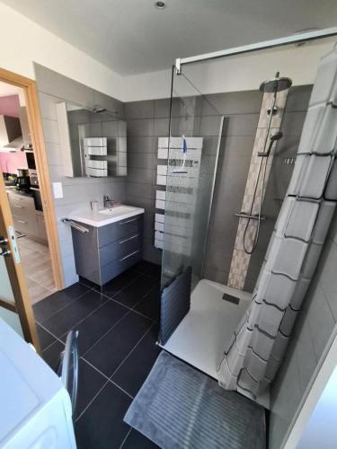 une salle de bain avec douche et lavabo dans l'établissement Gîte de France à Chapelle-Spinasse 3 épis - Gîte de France 4 personnes MAE-0104, à Égletons