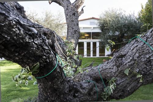 Taman di luar Relais Masseria Serritella