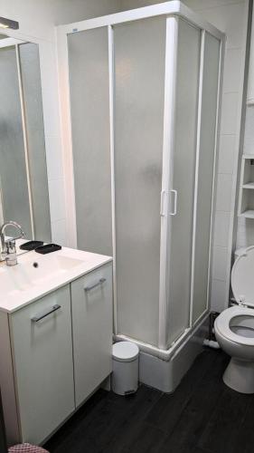 une salle de bain avec une douche, des toilettes et un lavabo dans l'établissement Résidence Rond-point-pistes Ii - Mini studio 4 pers N° 48B au rond point des pistes avec WIFI MAE-7394, à Orcières