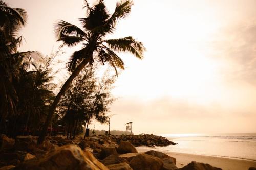 a beach with a palm tree and the ocean at Dat Lanh Beach Resort in Lagi