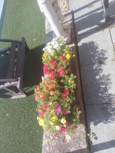 a planter with flowers on the side of a pole at Attila's Guest House in Budaörs