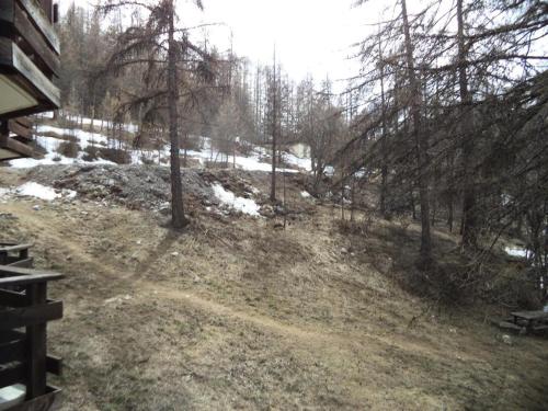 a view of a forest with snow and trees at Résidence Le Pouzenc - Studio pour 4 Personnes 901 in Les Orres