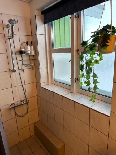 a bathroom with a shower with a window and a plant at Det grønne hus med isbjergsudsigt in Ilulissat
