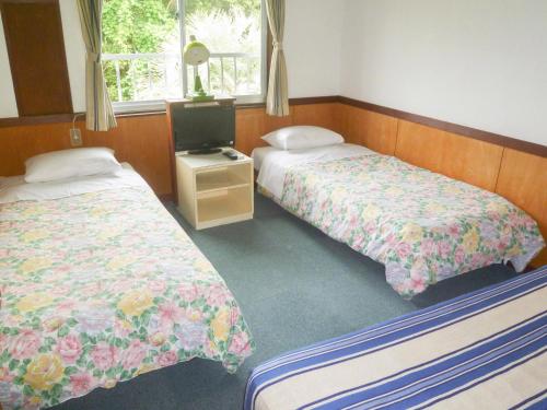 una camera con due letti e una tv di Pension Flora a Tateyama