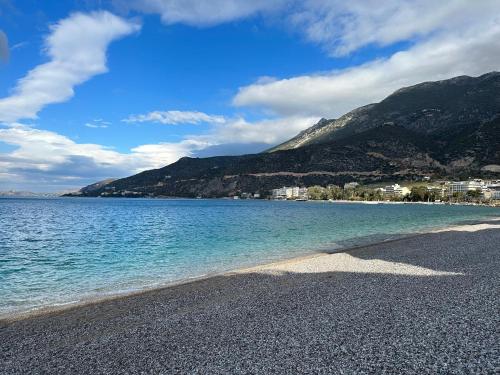 Beachfront Promenade