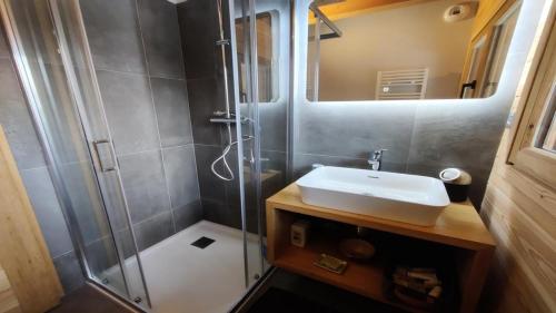 a bathroom with a sink and a shower at Chalet Piganiol-puy-saint-vincent - Chalets 684 in Les Prés