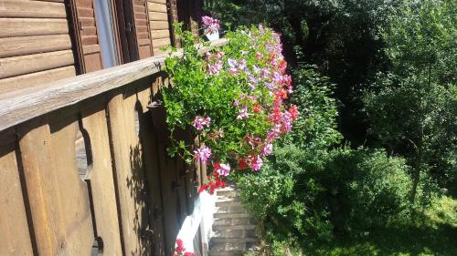 a balcony with flowers on the side of a house at Casa Monteggia in Dobbiaco