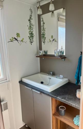 une salle de bain avec un lavabo et un miroir dans l'établissement Mobile home exotique de 40 m2, à Fréjus
