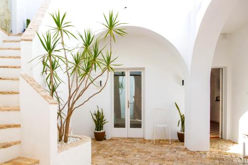une maison blanche avec des palmiers dans le théor dans l'établissement Vejerísimo Casa Boutique, à Vejer de la Frontera
