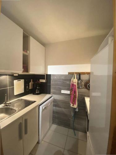 Il comprend une petite cuisine équipée d'un évier et d'un lave-vaisselle. dans l'établissement Résidence Portail - Le Portail 27 - Agréable 2 pièces en bordure de piste MAE-4664, à Valmorel