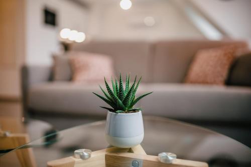a green plant in a white vase on a table at Résidence Les Charmes in Boofzheim
