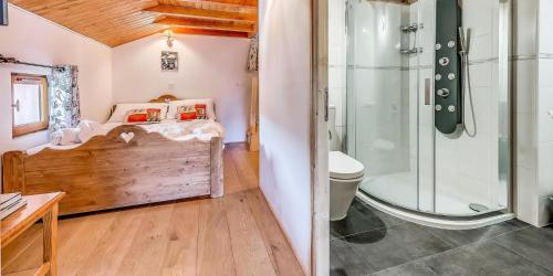 une salle de bain avec douche et toilettes dans l'établissement Résidence Le Chardonnet - 4 Pièces pour 7 Personnes MAE-3299, à Champagny-en-Vanoise