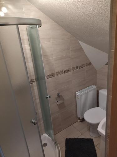 a bathroom with a toilet and a shower stall at Nad Grapą in Gliczarów