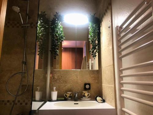 une salle de bain avec un lavabo et un miroir dans l'établissement Résidence Cheval Blanc - Le Cheval Blanc C27 - Joli studio rénové au pied des pistes MAE-1194, à Valmorel