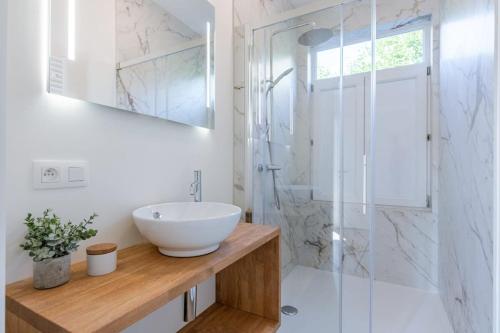 uma casa de banho com um lavatório e uma cabina de duche em vidro. em Beautiful vacation home 'Valkehuisje' in Poperinge em Poperinge