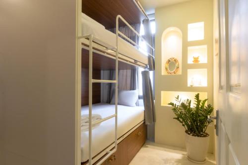a bedroom with bunk beds with a potted plant at The Backpacker Hostel and spa in Da Nang