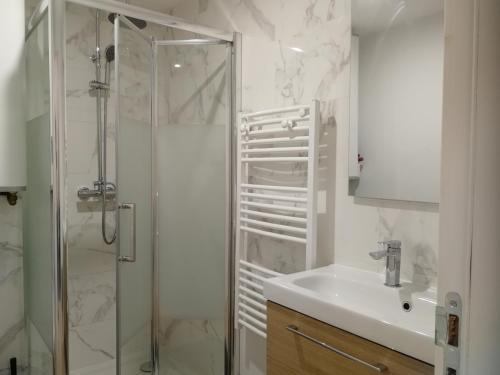 baño blanco con ducha y lavamanos en T2 Duplex Segré - Hyper centre - Wifi - Netflix, en Segré
