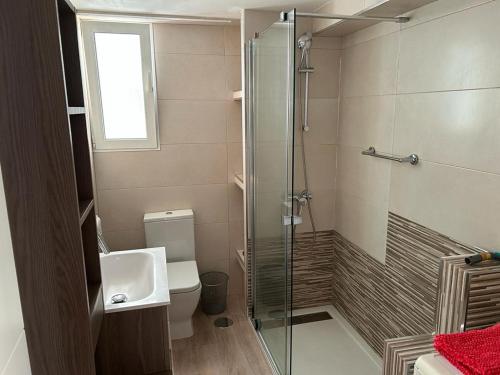 a bathroom with a shower and a toilet and a sink at Edificio Albires in Albir