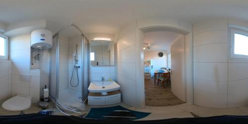 a bathroom with a shower and a toilet and a sink at Wohnungen Bachhaus in Traun
