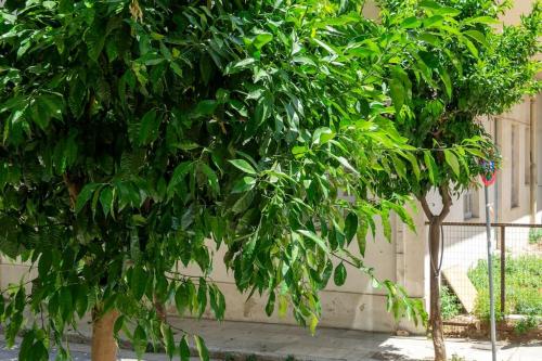 New and renovated studio close to Megaro Mousikis