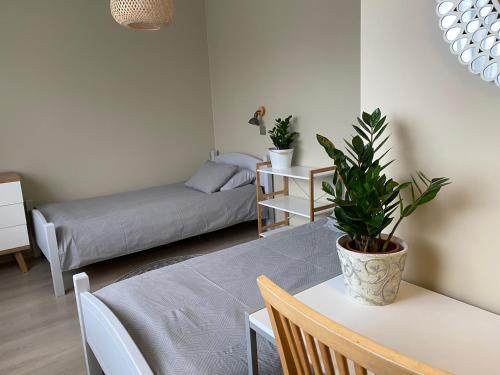 ein Wohnzimmer mit einem Bett und einem Tisch mit einer Pflanze in der Unterkunft Õhtu Põik 4 City Center Apartment in Pärnu