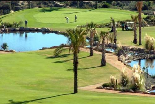 un campo de golf con palmeras y un estanque en Apartamento Al-Alba Golf Resort Valle del Este, en Vera