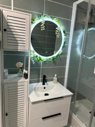 ein Badezimmer mit einem weißen Waschbecken und einem Spiegel in der Unterkunft Orphea - Charming Studio Villeparisis - Proche gare / CDG / Parc des expositions in Villeparisis