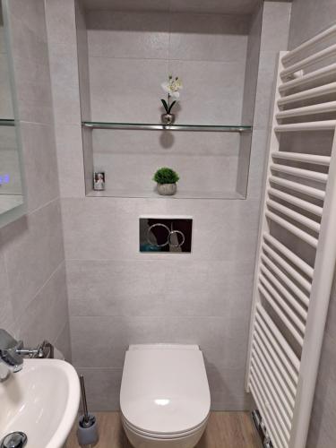 a bathroom with a toilet and a sink at Ferienwohnung Familie Windt in Feldberg