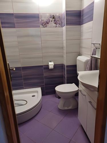 a bathroom with a toilet and a sink at Apartment Lina in Gradac
