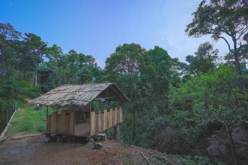 una pequeña cabaña en medio de un bosque en Vineyard Homestay en Santhanpara