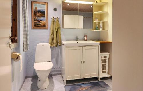 a bathroom with a white toilet and a sink at Gorgeous Home In Orsa With Kitchen in Orsa
