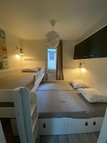 two twin beds in a room with a window at Vakantiepark Bonte Vlucht in Doorn