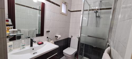een badkamer met een toilet, een wastafel en een douche bij Chambre privée avec petit déjeuner dans maison de ville - Saint mandé- Paris in Saint-Mandé