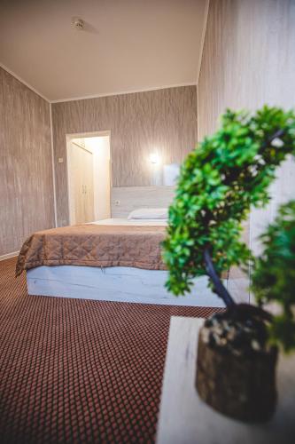 a bedroom with a bed and a potted plant at Rodopi Hotel in Haskovo