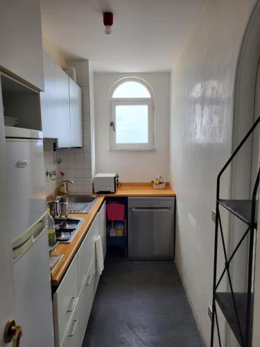 卡普里的住宿－LA PANORAMICA 55，一个带水槽和窗户的小厨房