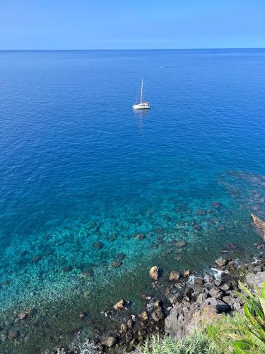 フンシャルにあるIrlandas Villa Funchal Seaside Villasの海岸近くの水上船