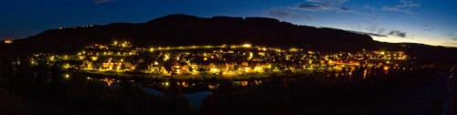 a group of lights on a lake at night at Ferienhaus Panorama Mosel in Reil