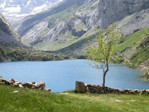 a tree sitting on a hill next to a lake at Résidence Lienz - Studio cabine avec terrasse exposée Sud MAE-8324 in Barèges