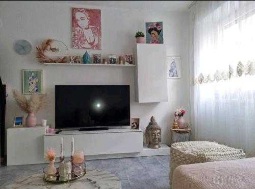 a living room with a flat screen tv at Zentral gelegene 2-ZKB-Wohnung Koblenz Vorstadt in Koblenz