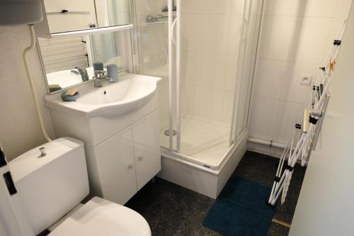 a bathroom with a toilet and a shower and a sink at Résidence Jaspe - 2 Pièces pour 6 Personnes 44 in Saint-Gervais-les-Bains