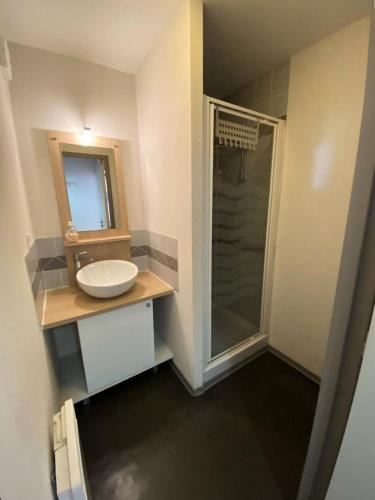 une salle de bain avec un lavabo et une douche dans l'établissement Résidence Bois De Marie - Appartement avec garage et WIFI, proche du centre de Barèges MAE-8724, à Barèges