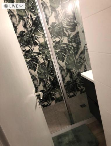 d'une douche avec une porte en verre et du papier peint végétal. dans l'établissement Résidence Antigua - T2 4 couchages LE BARCARES - CLIMATISATION en option MAE-7984, au Barcarès