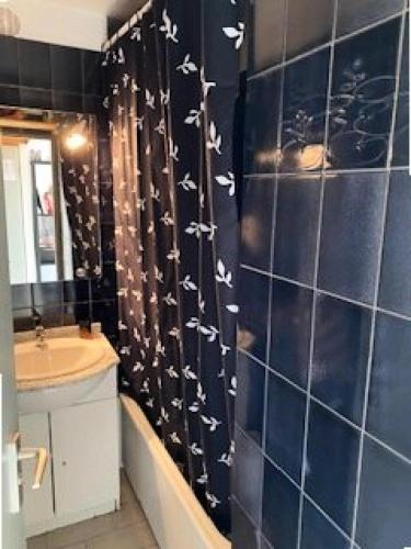 La salle de bains est pourvue d'un mur carrelé bleu orné d'oiseaux. dans l'établissement Résidence Antigua - Studio Cabine 4 couchages LE BARCARES MAE-8304, au Barcarès