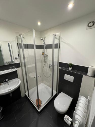een badkamer met een douche, een toilet en een wastafel bij Pension Auszeit in Bad Neuenahr-Ahrweiler