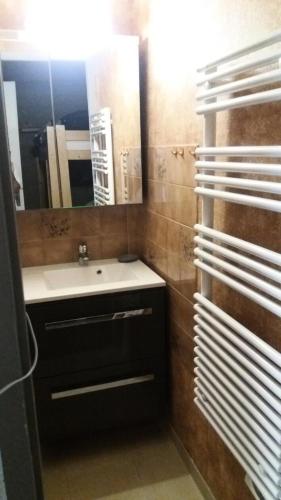 une salle de bain avec un lavabo et un miroir dans l'établissement Résidence La Croix Du Sud - Studio cabine 4 personnes 2 exposé Est MAE-8784, à Valloire