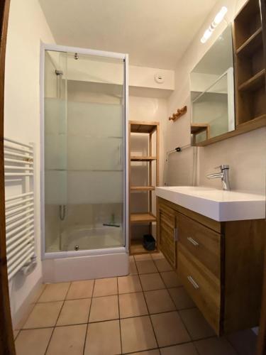 une salle de bain avec douche et lavabo dans l'établissement Residence Tigny - 2 pièces cabine 4 personnes exposé sud est MAE-9034, à Valloire